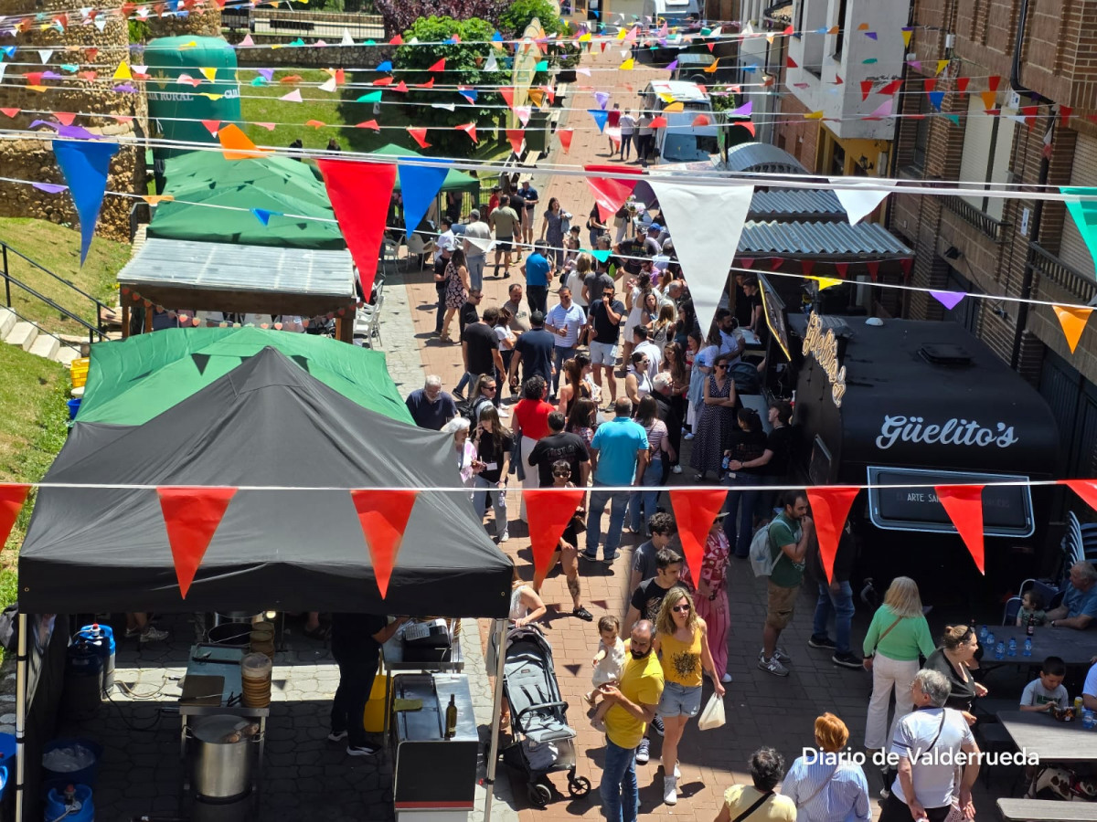 Frestival de la fresa de almanza 2025 (11)