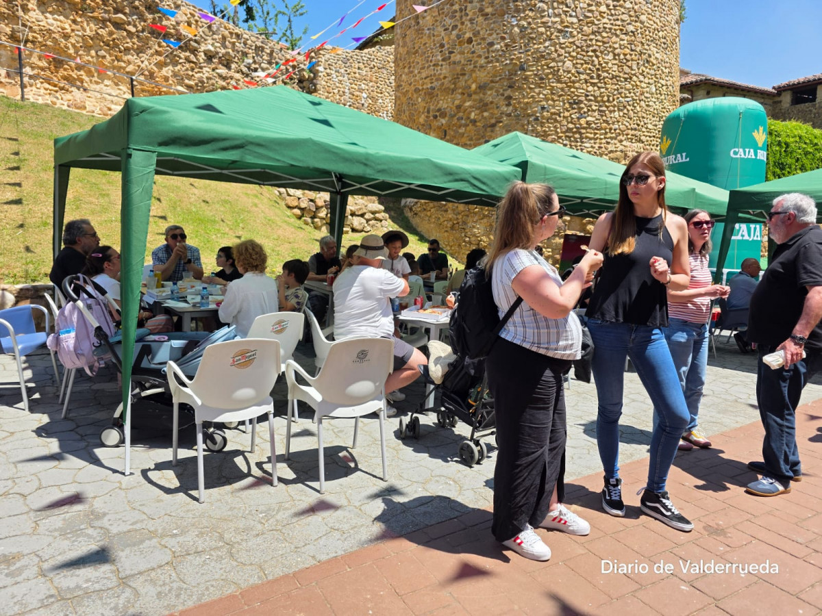 Frestival de la fresa de almanza 2025 (16)