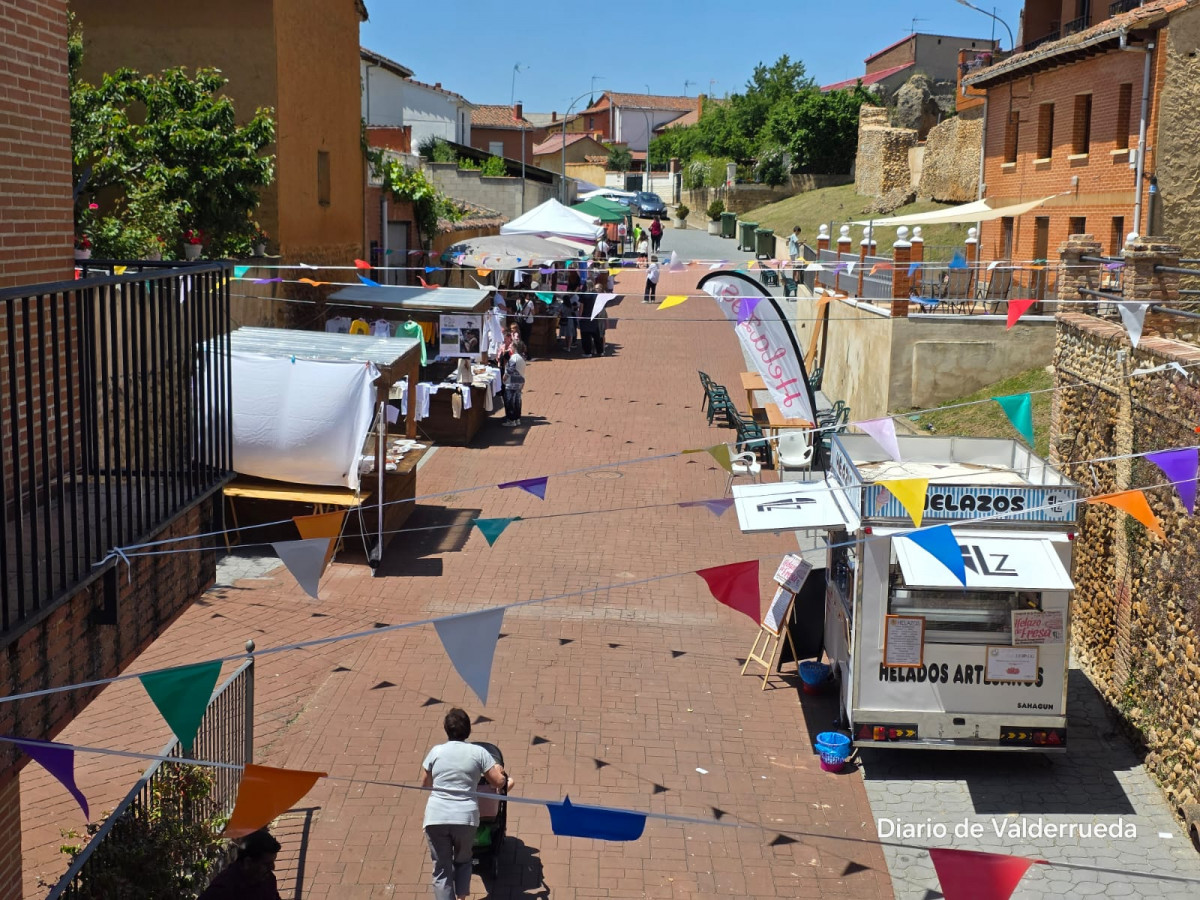 Frestival de la fresa de almanza 2025 (9)