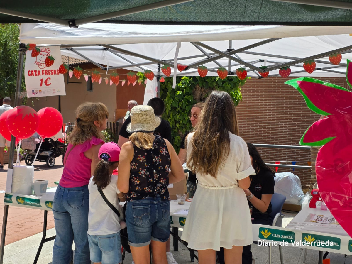 Frestival de la fresa de almanza 2025 (12)