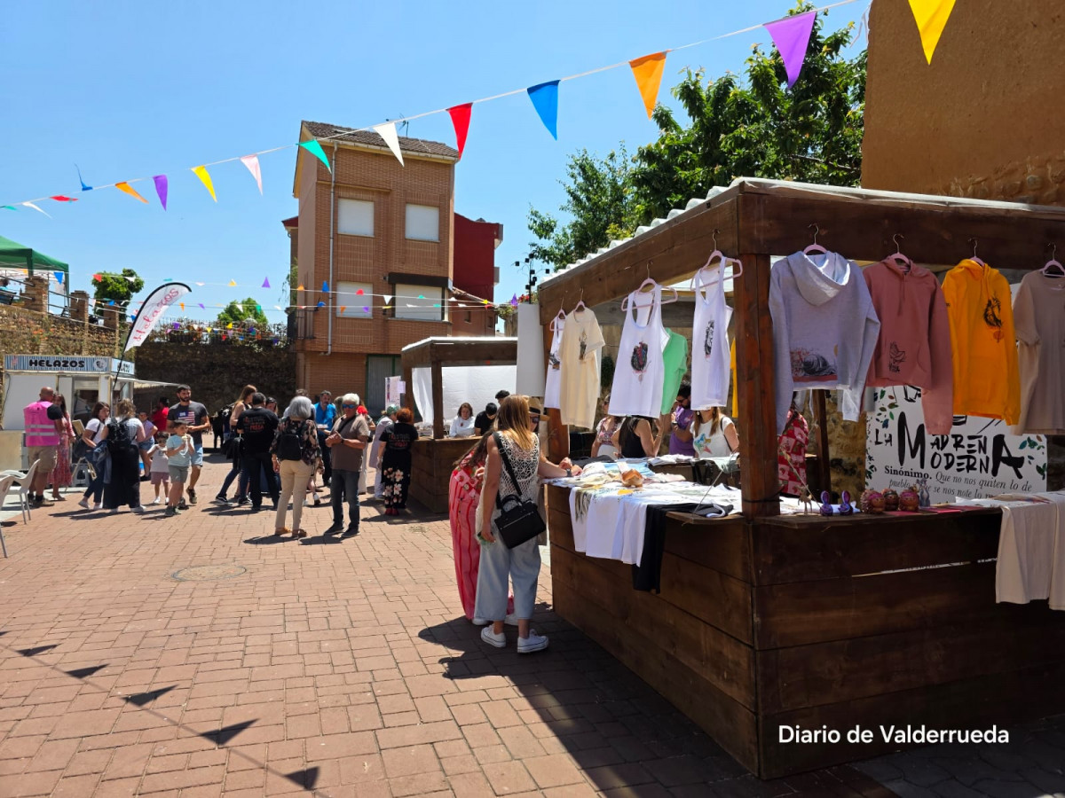 Frestival de la fresa de almanza 2025 (17)