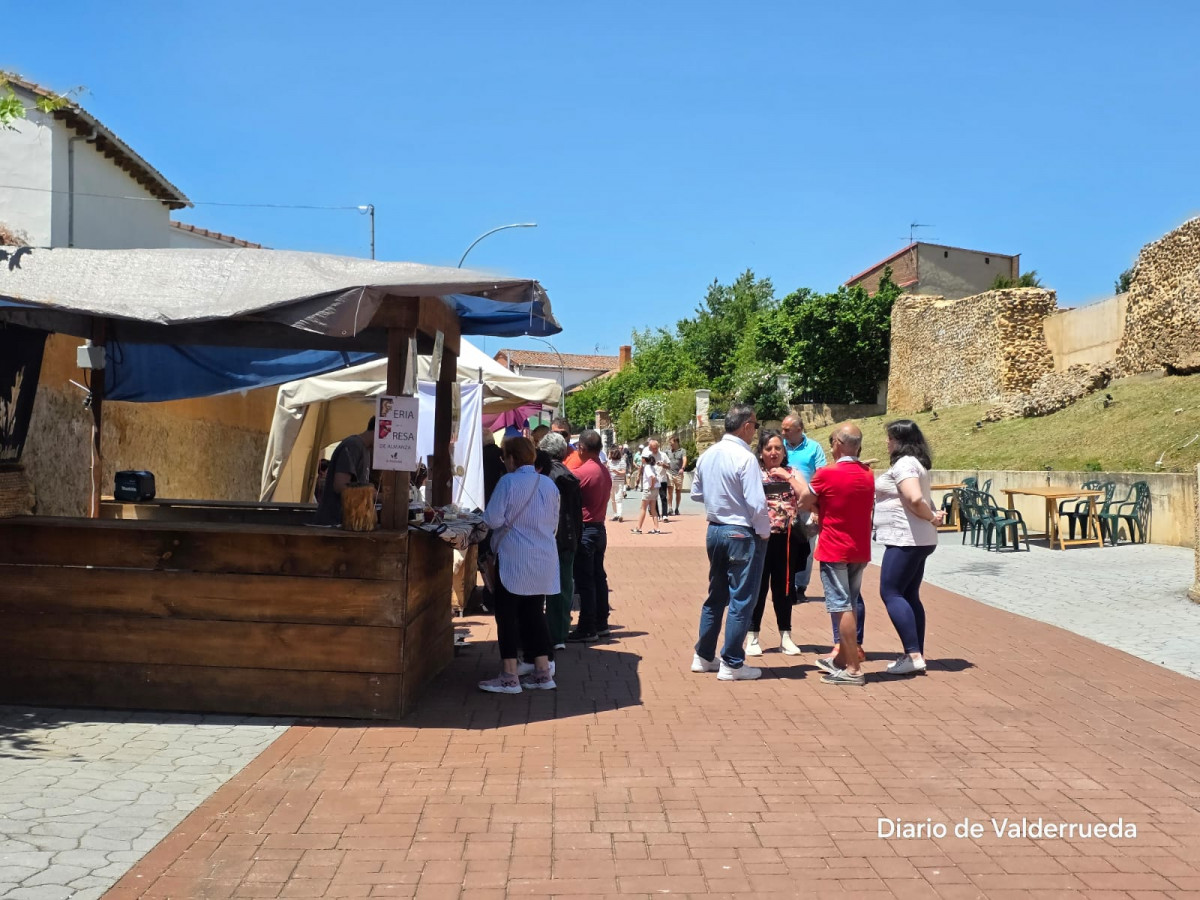 Frestival de la fresa de almanza 2025 (18)