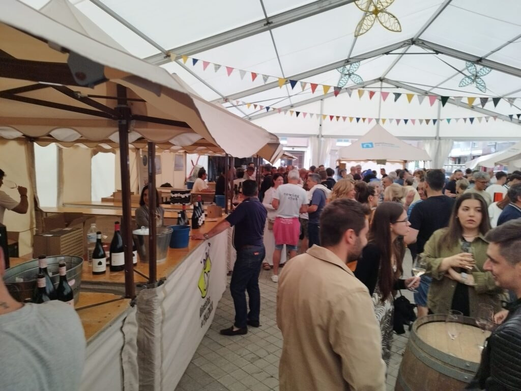 Festival del vino guardo 2025 (2)