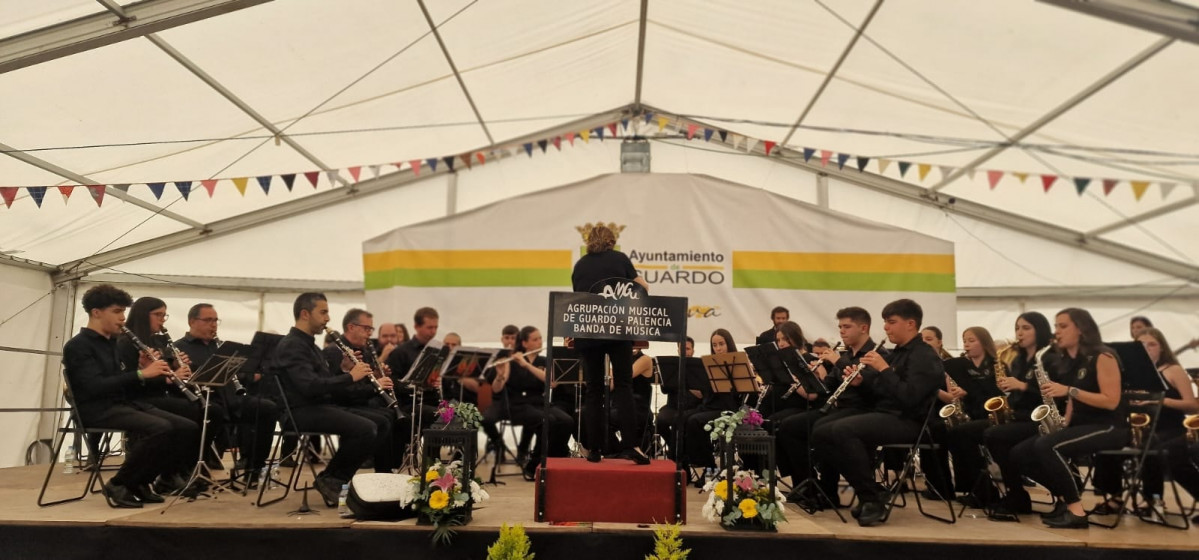 Fiestas de guardo 2025 DDV 46