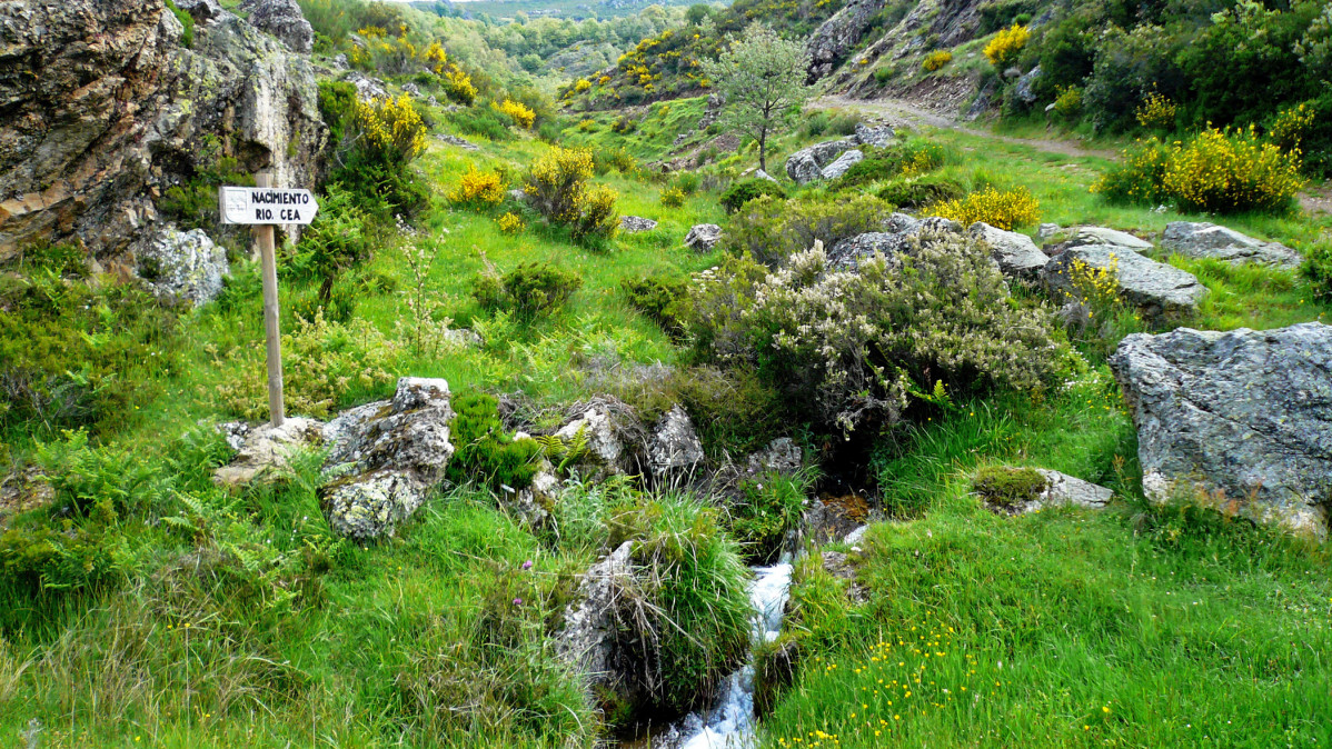 Nacimiento del rio cea wikipedia