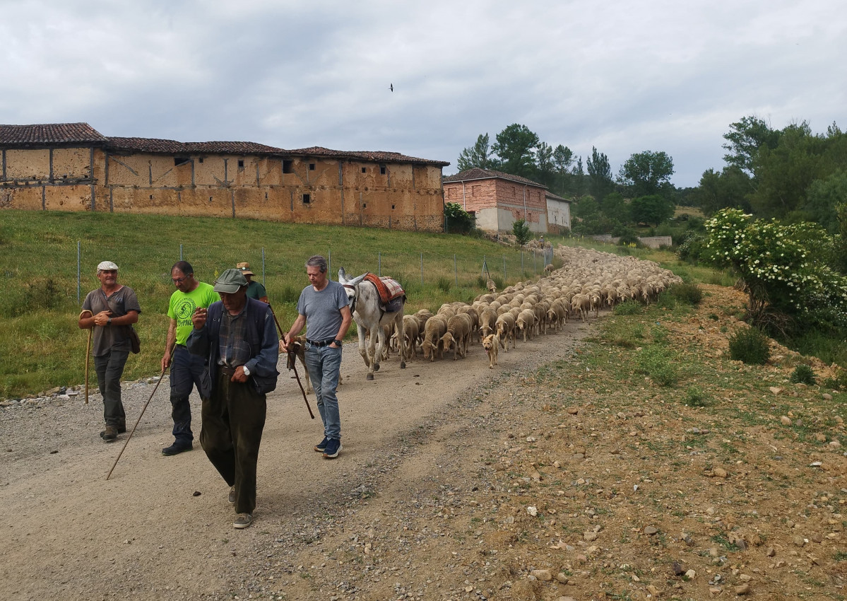 Trashumancia el valle 2025 (2)