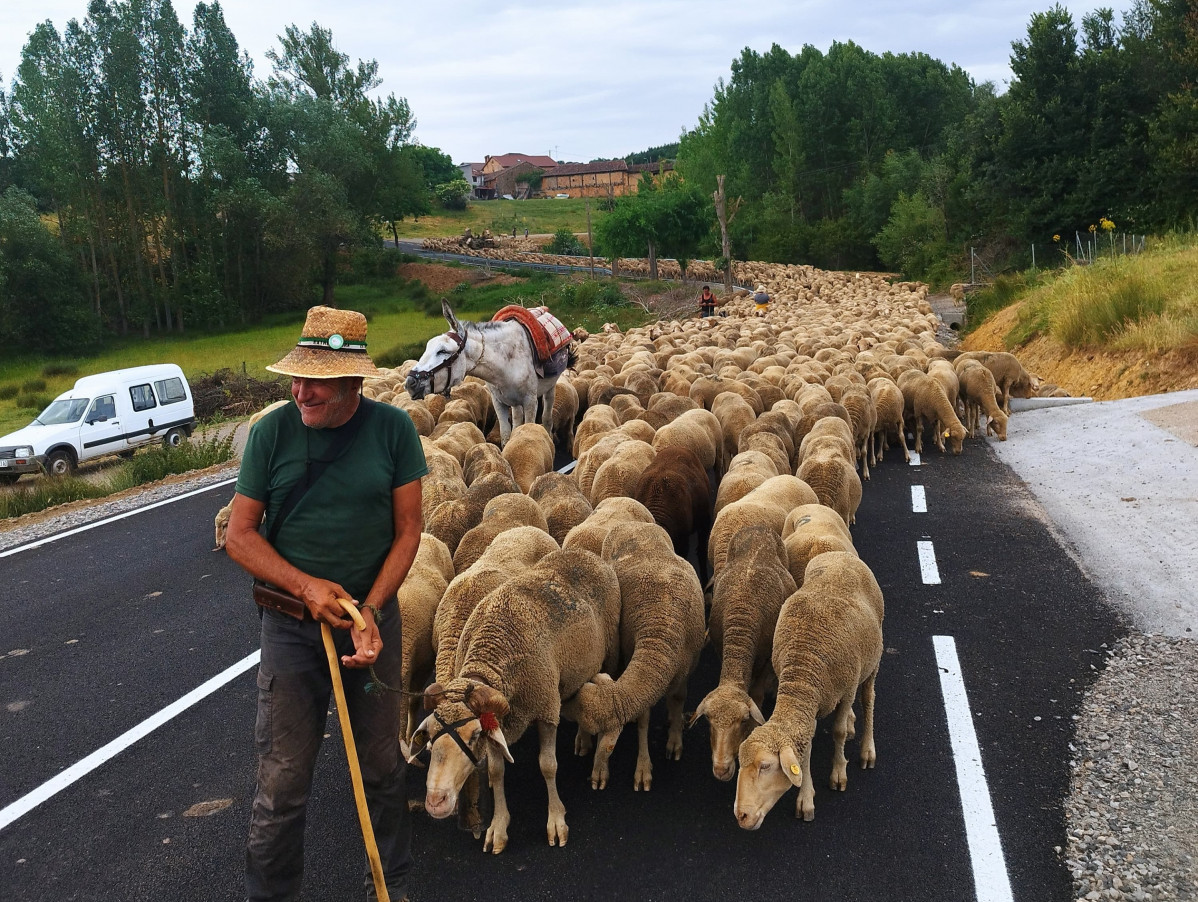 Trashumancia el valle 2025 (2)
