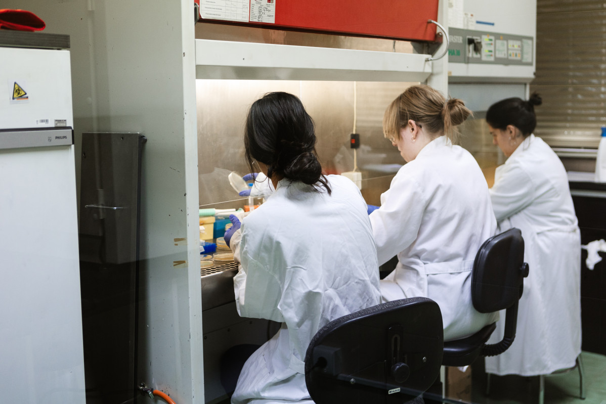Investigacion (3)