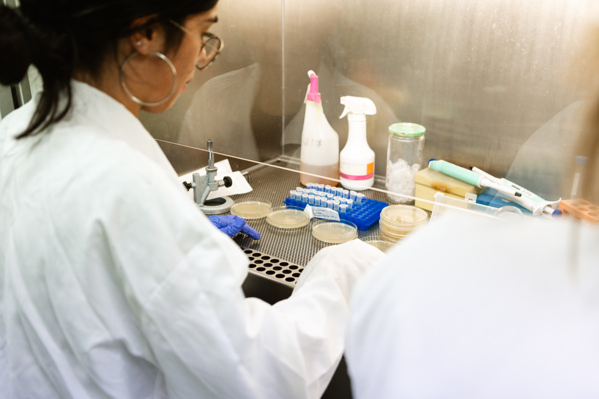 Investigacion (1)