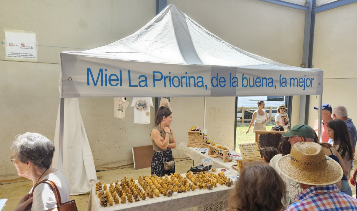 Fiesta de la trashumancia 2025 prioro (4)