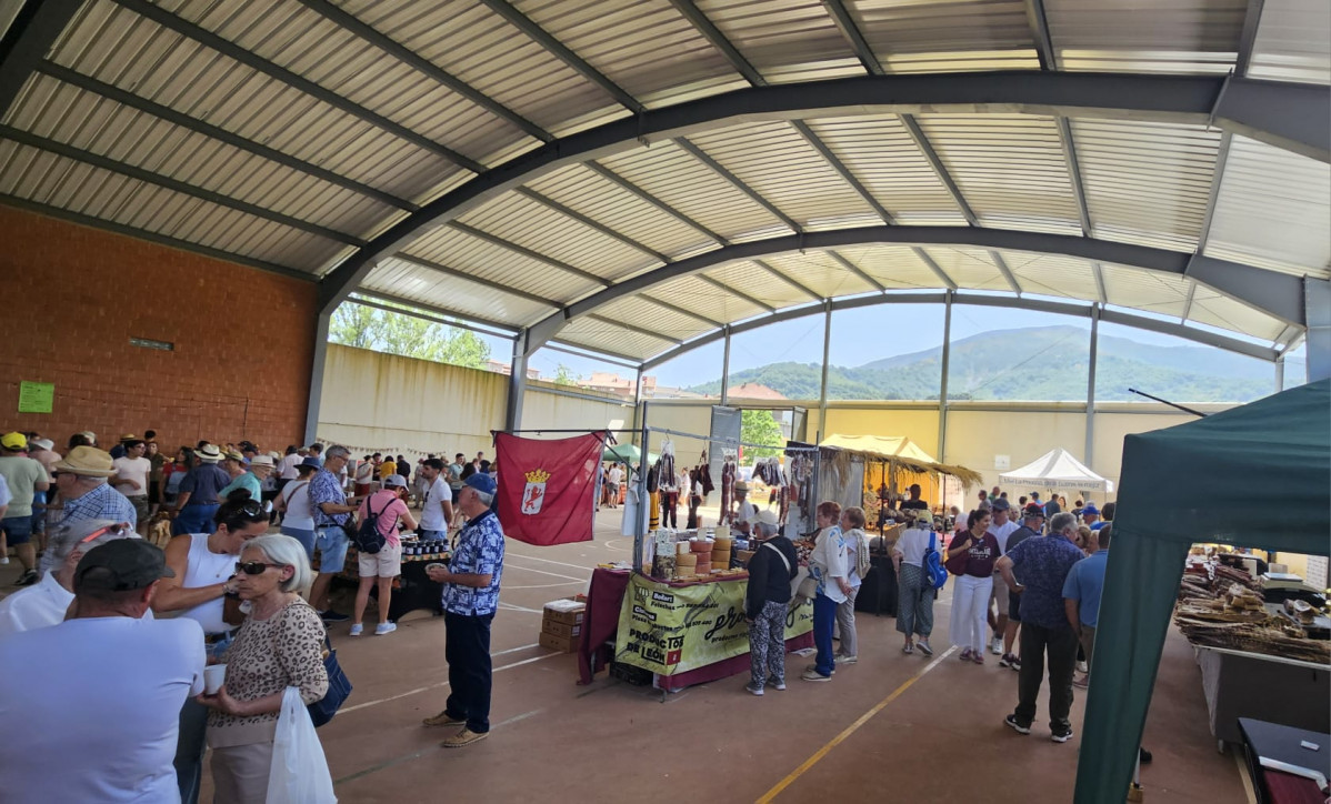 Fiesta de la trashumancia 2025 prioro (5)
