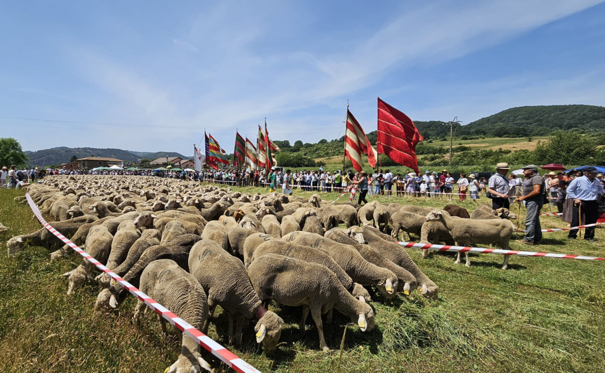 Fiesta de la trashumancia prioro 2025