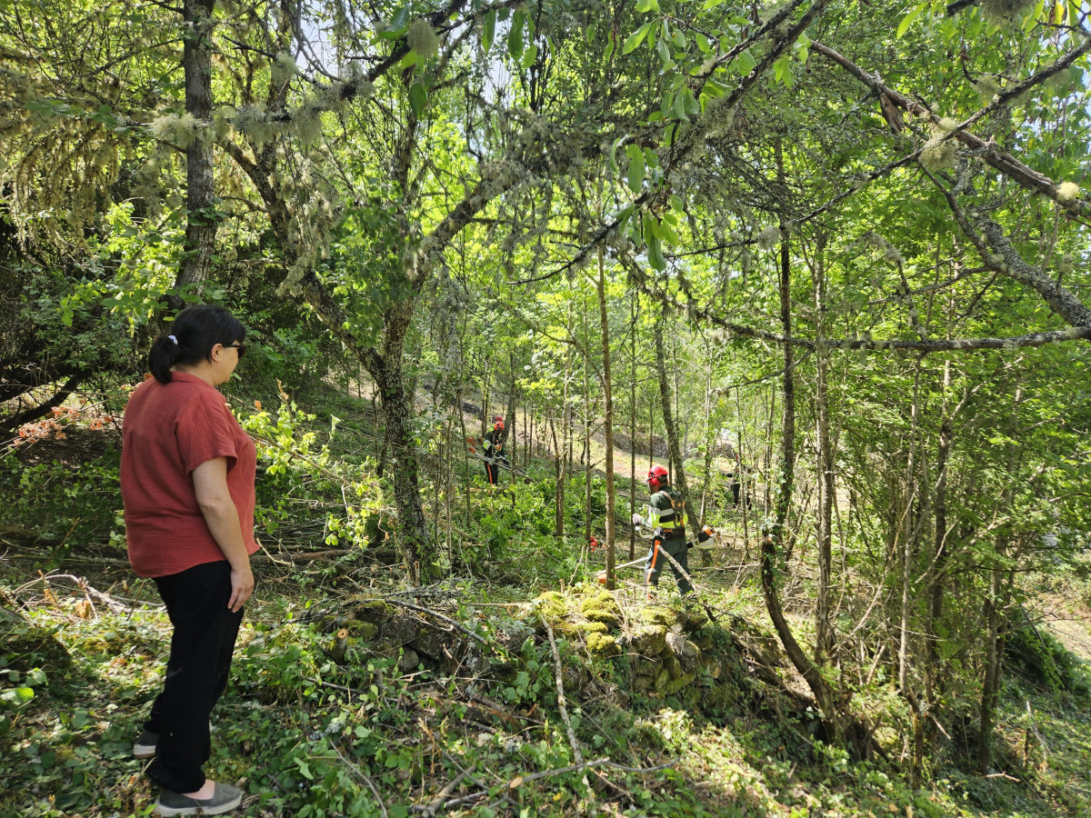 Prevenciu00f3n de incendios 2