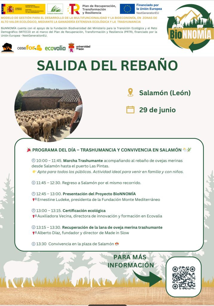 Wool fest salamon (1)