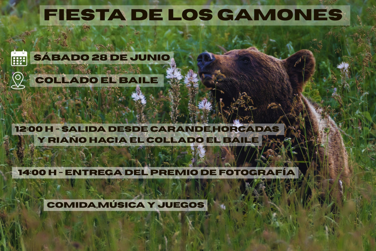 Cartel fiesta de los gamones