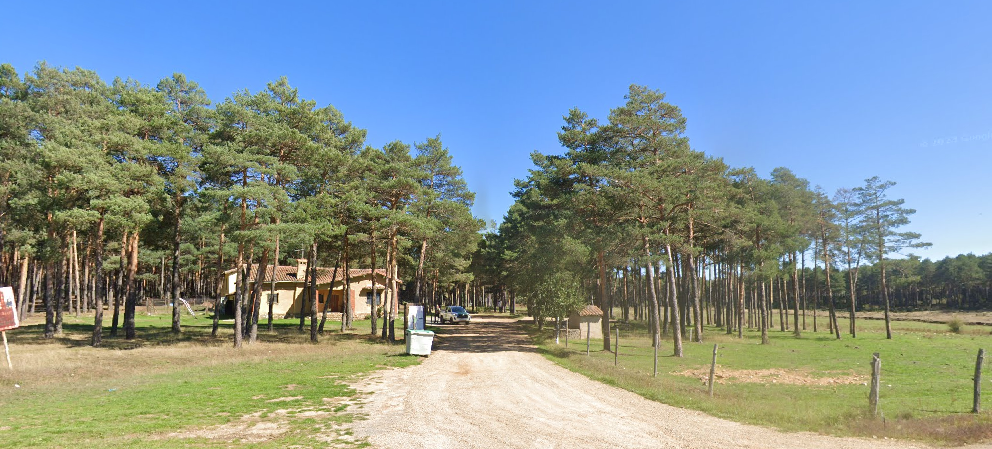 Pista forestal camposagrado