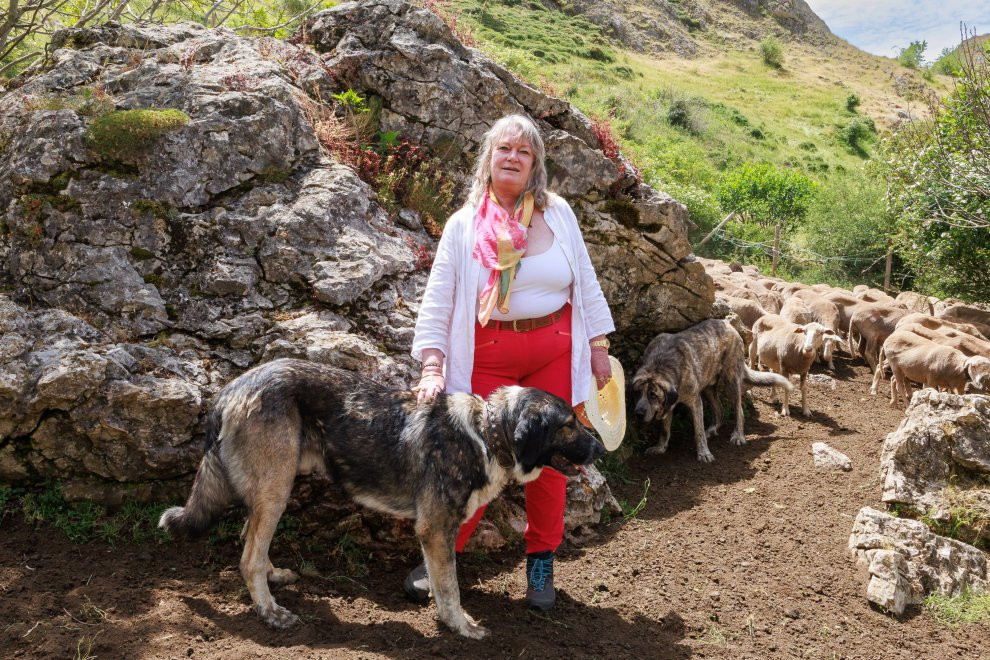 Ernestine Lu00fcdeke con sus ovejas y mastines en los puertos de Leu00f3n