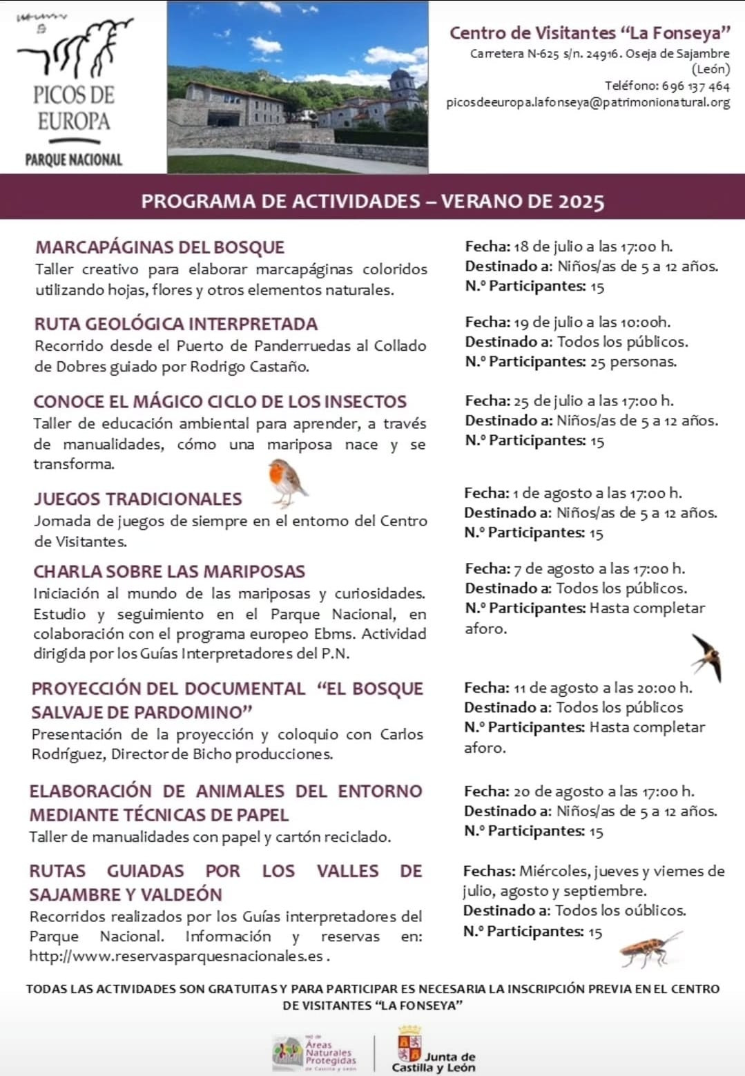Programa verano 2025