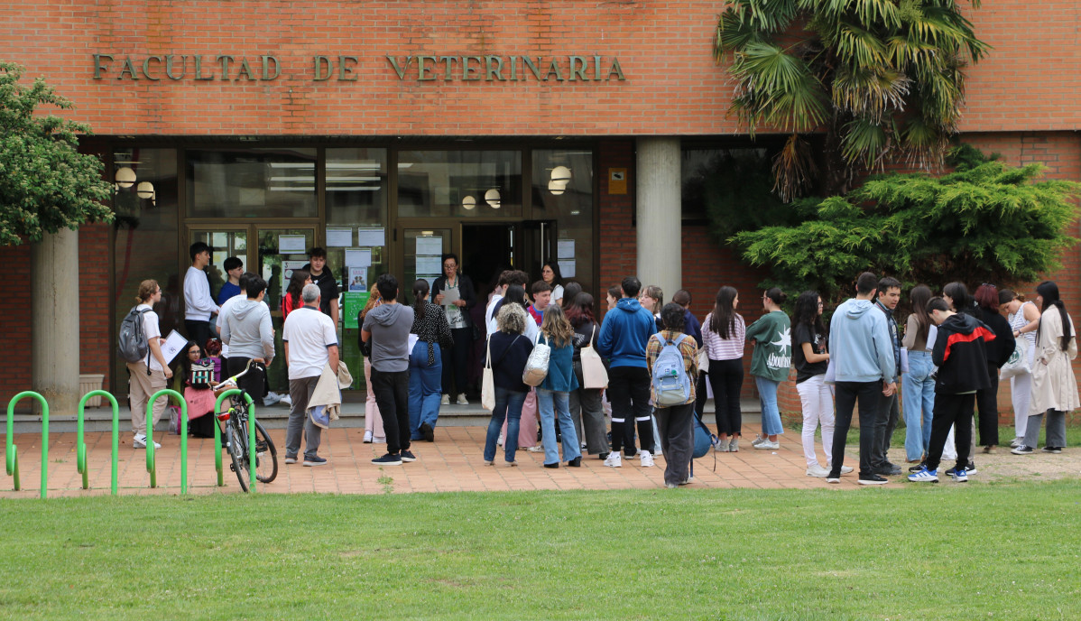 2025 06 03 Prueba PAU 17