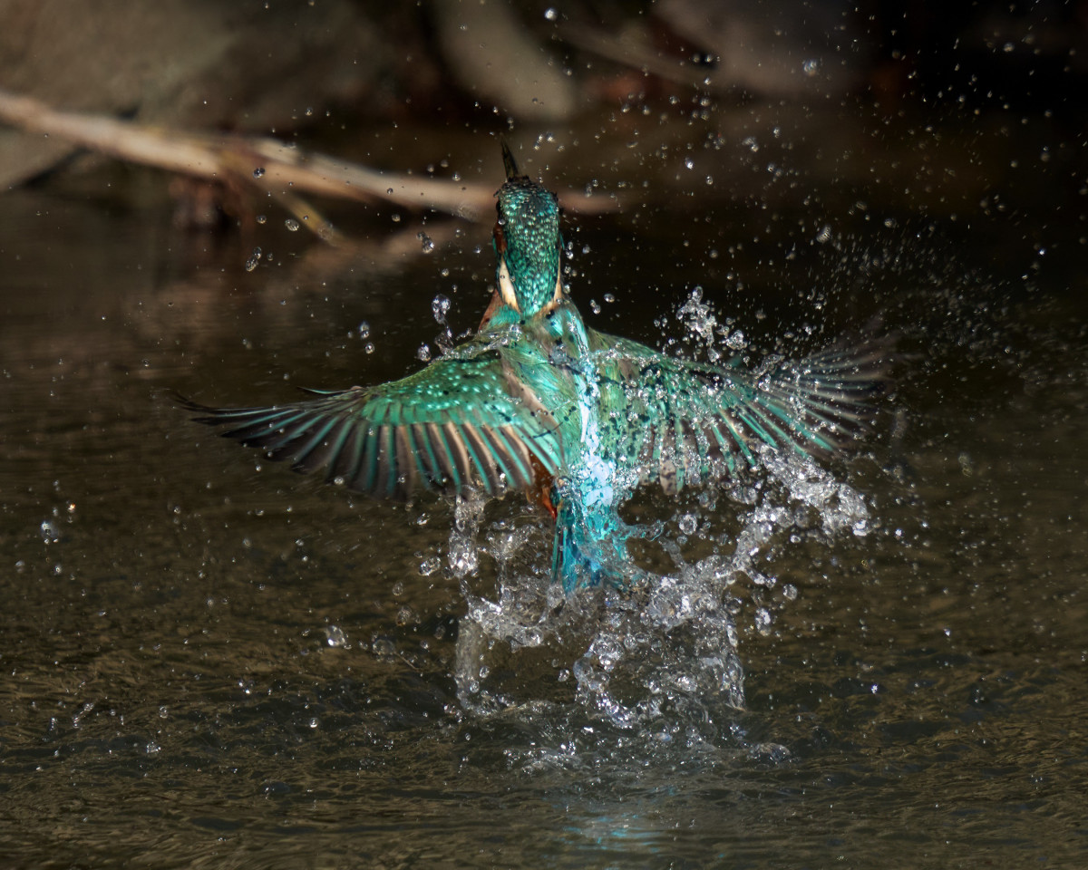 Imagen ganadora VII Concurso Fotografu00eda CHD