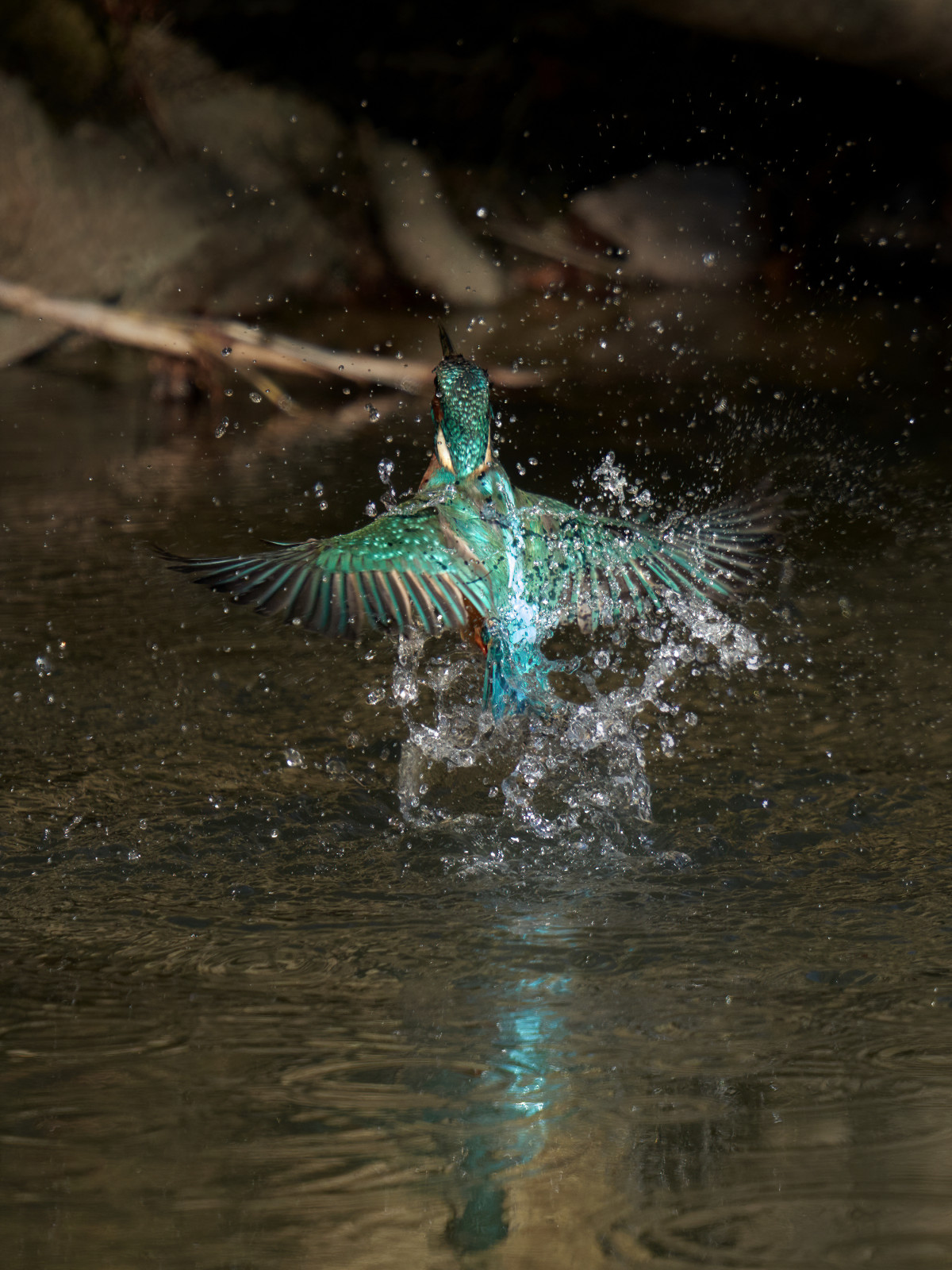 Imagen ganadora VII Concurso Fotografu00eda CHD