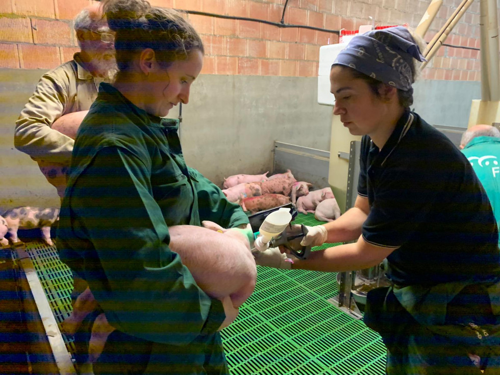 Investigación vacunaBiobhyo (2)