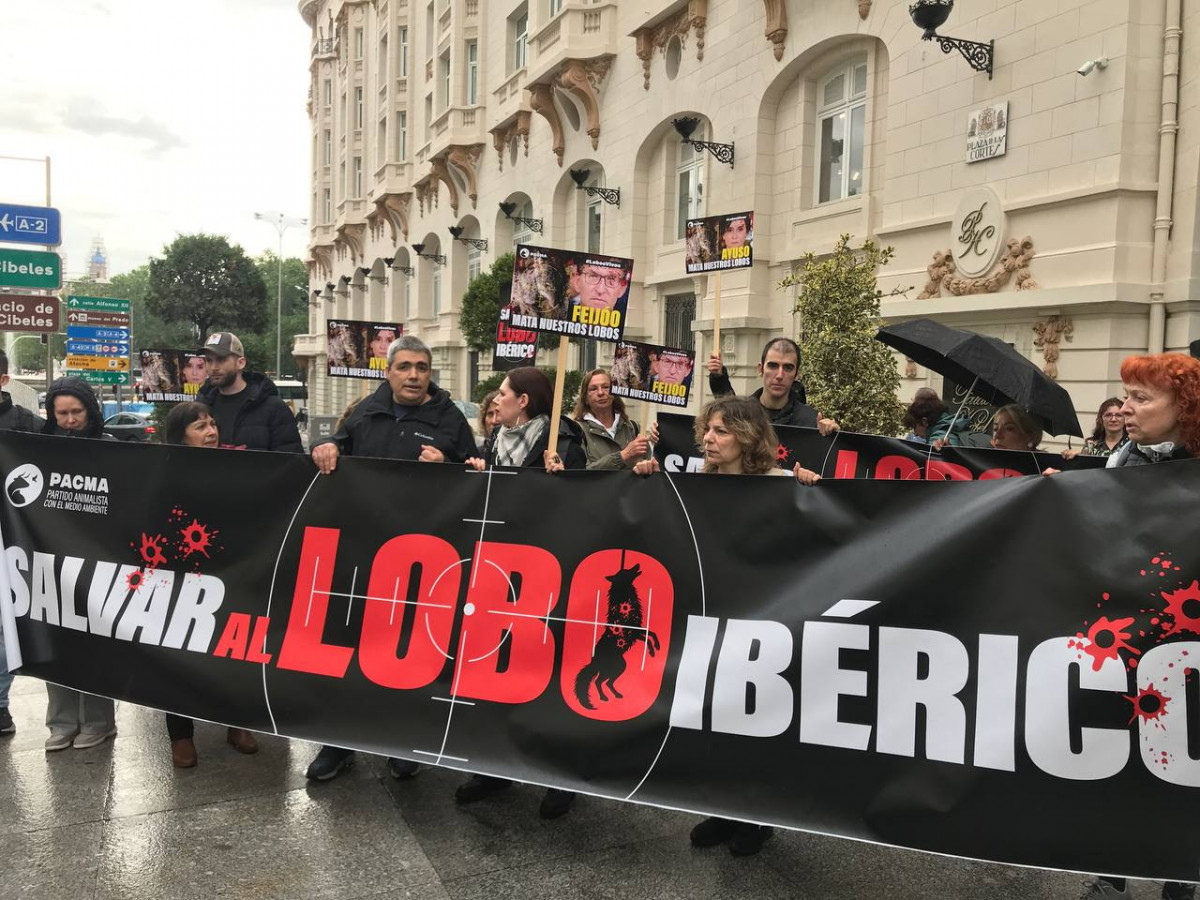 Protesta pacma lobo