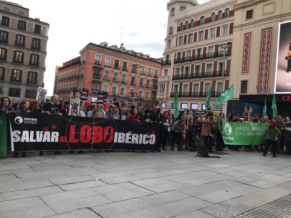 Protesta pacma lobo (2)