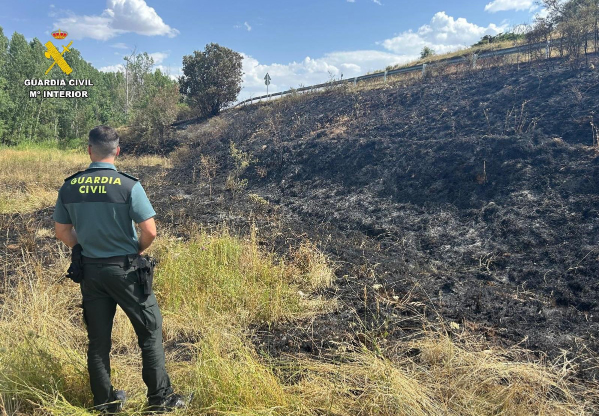 Incendio forestal pison de ojeda