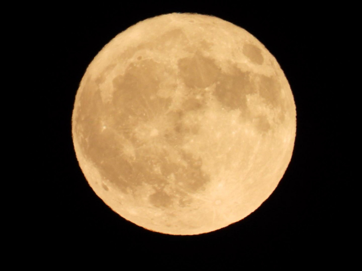 Luna del ciervo julio 25 palacios de rueda cristian gonzalez (1)
