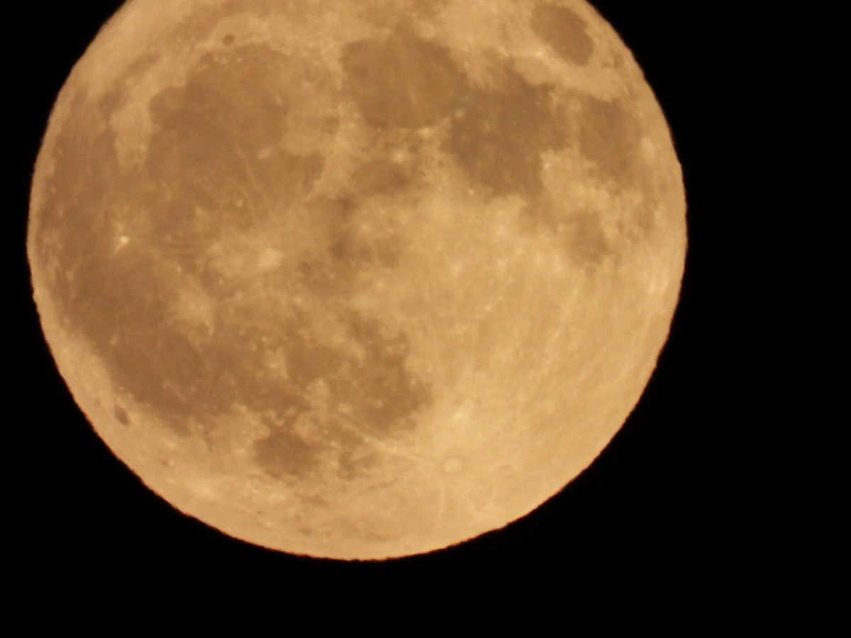 Luna del ciervo julio 25 palacios de rueda cristian gonzalez (8)