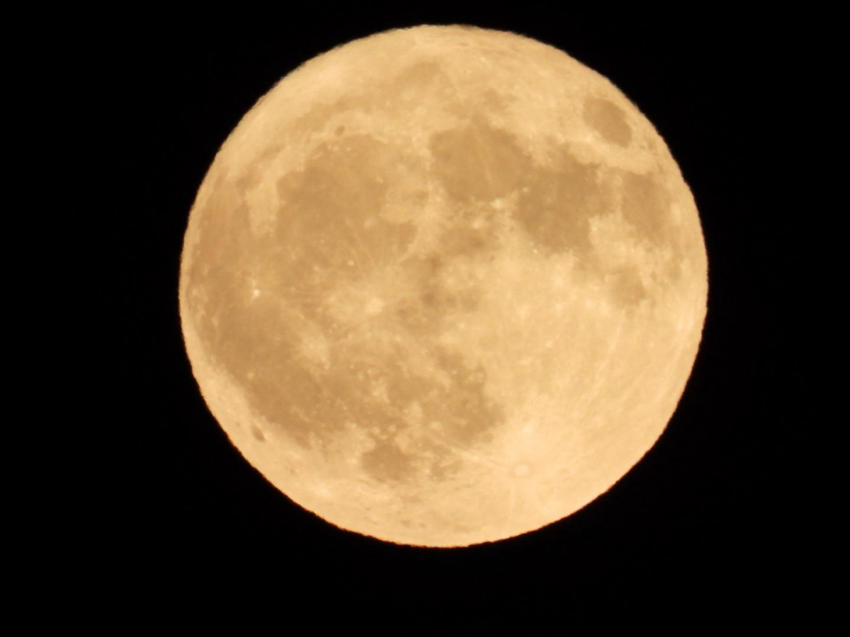 Luna del ciervo julio 25 palacios de rueda cristian gonzalez (9)
