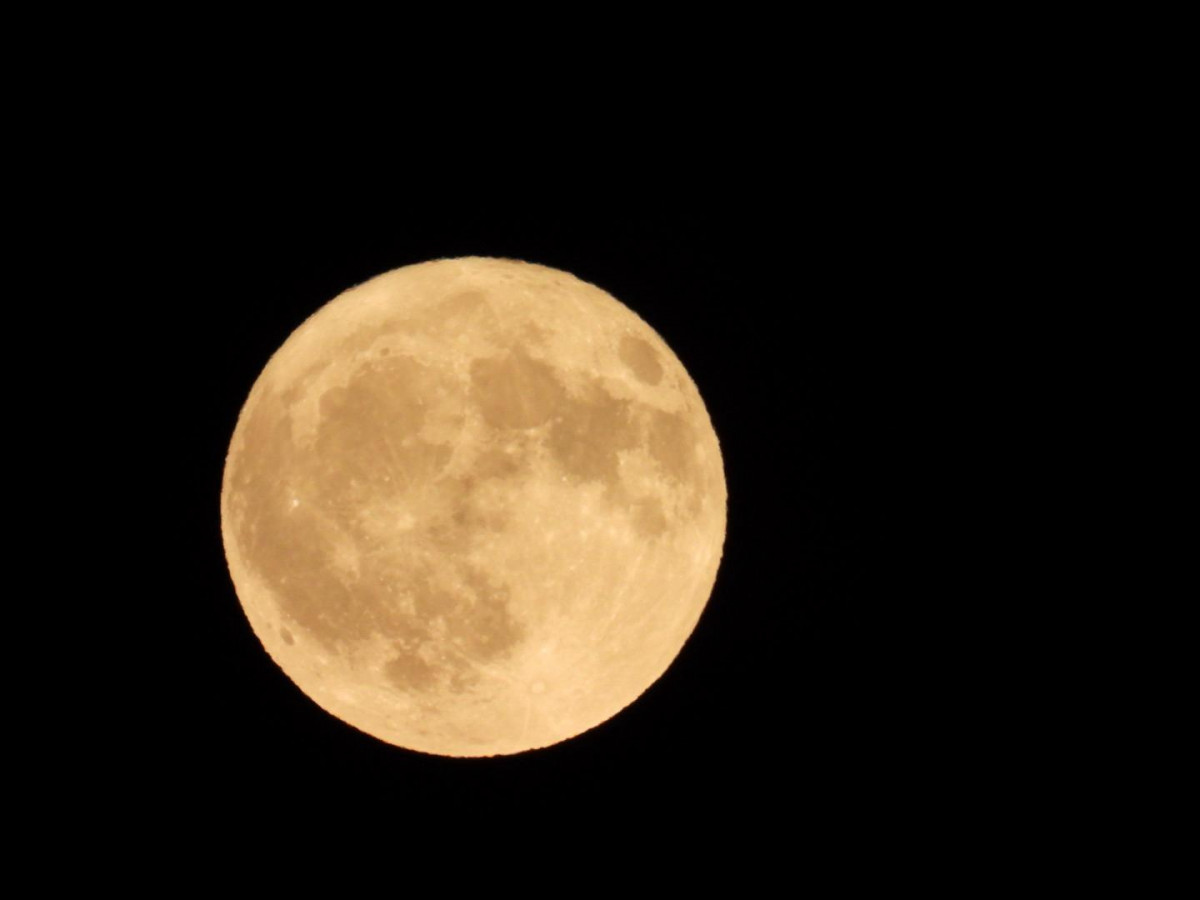 Luna del ciervo julio 25 palacios de rueda cristian gonzalez (11)