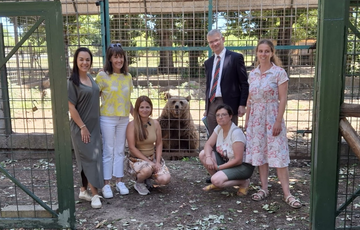 Pacma traslado osos ponderoso y luna coto escolar