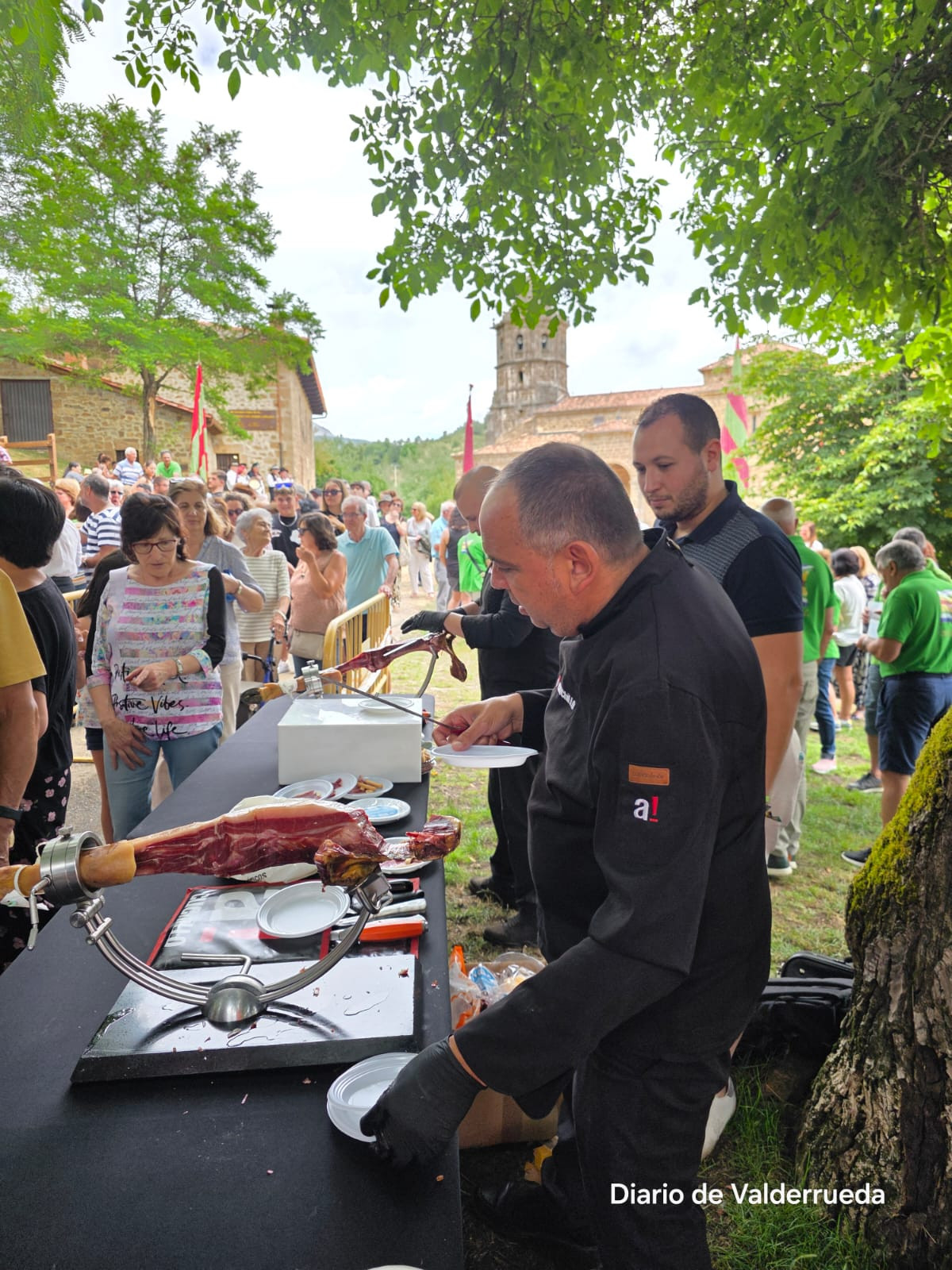 Romería de Valderrueda Valdetuéjar 2025 DDV 9