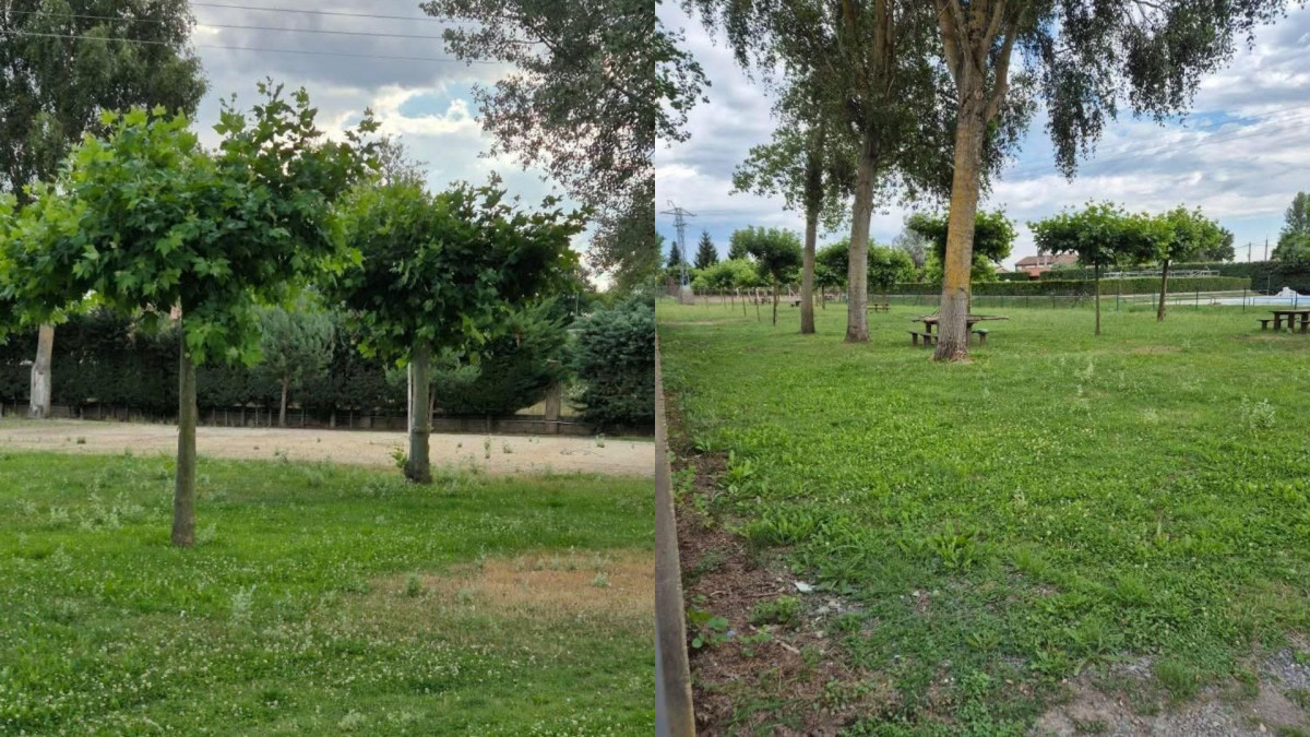 Estado polideportivo y piscina barrio de nuestra seu00f1ora (3)