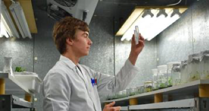 INVESTIGACION APELLIDOS VEGETALES carlos frey bio