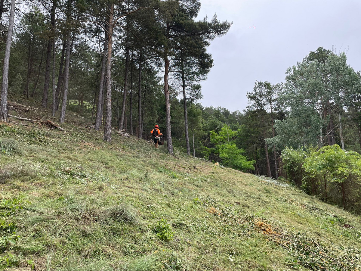 Recuperaciu00f3n monte de Saldau00f1a