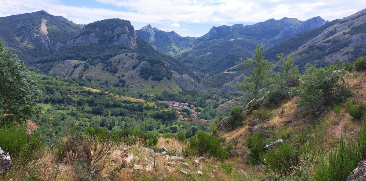 Remolina