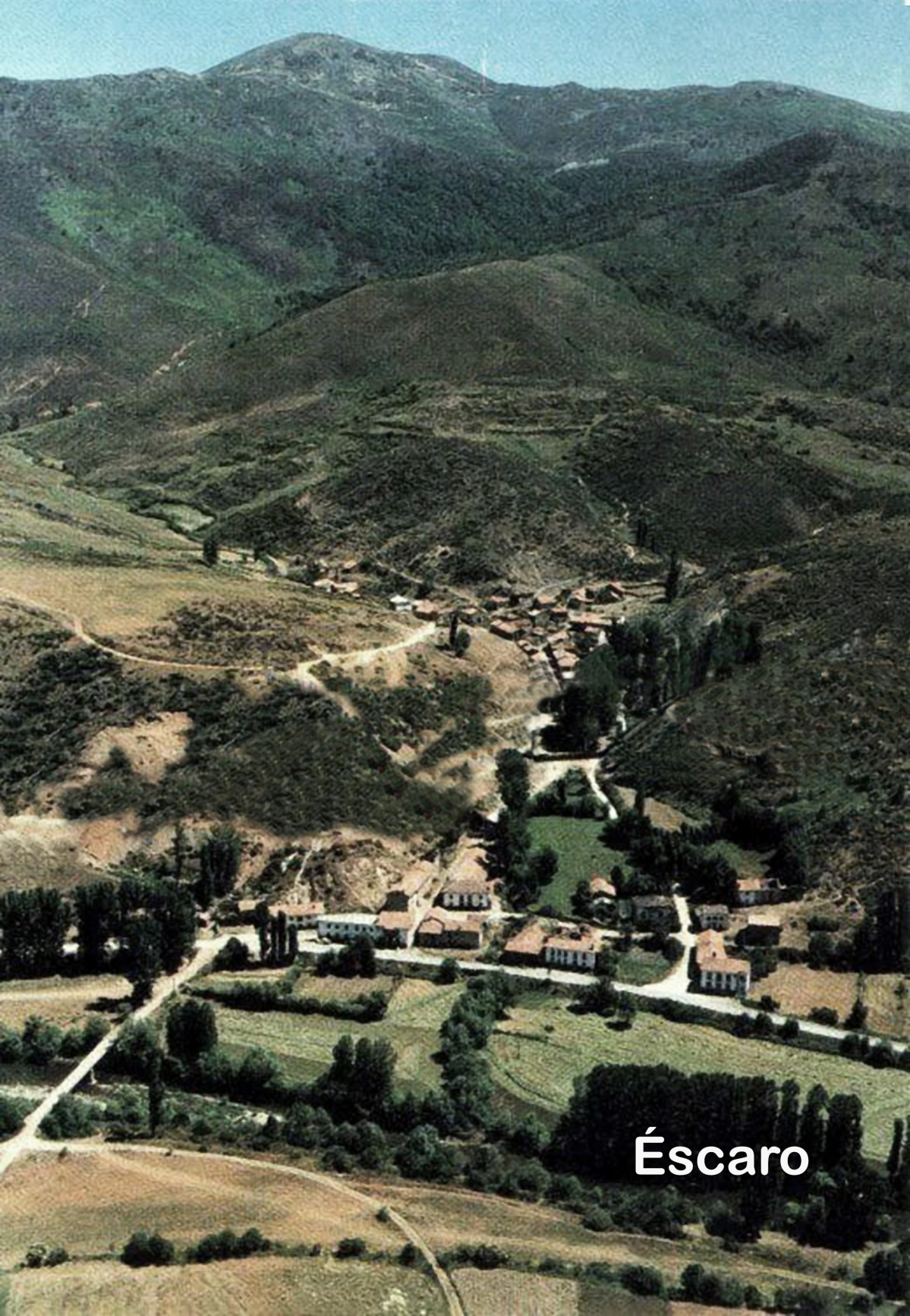 5 u00c9scaro 1984