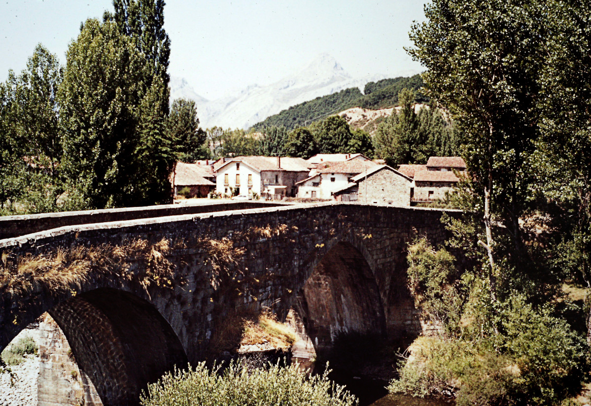 14 Puente romano. Pedrosa del Rey. Julio 1985