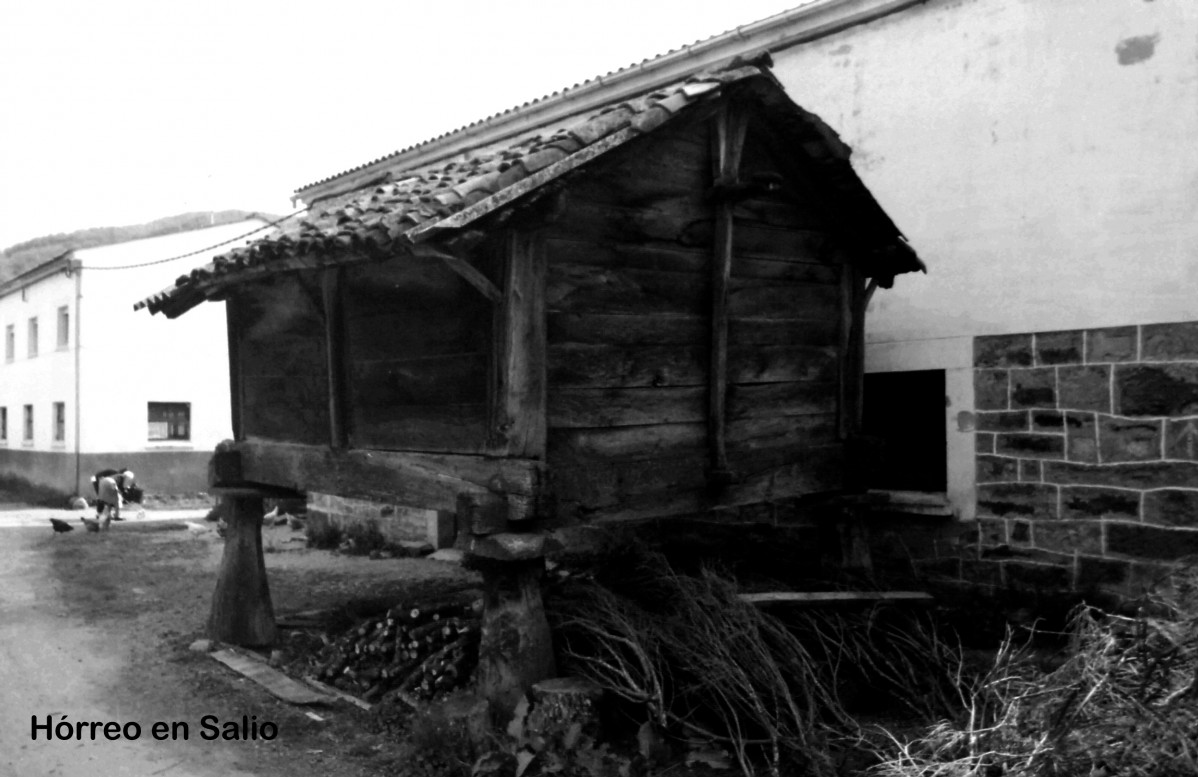 19 Salio horreo