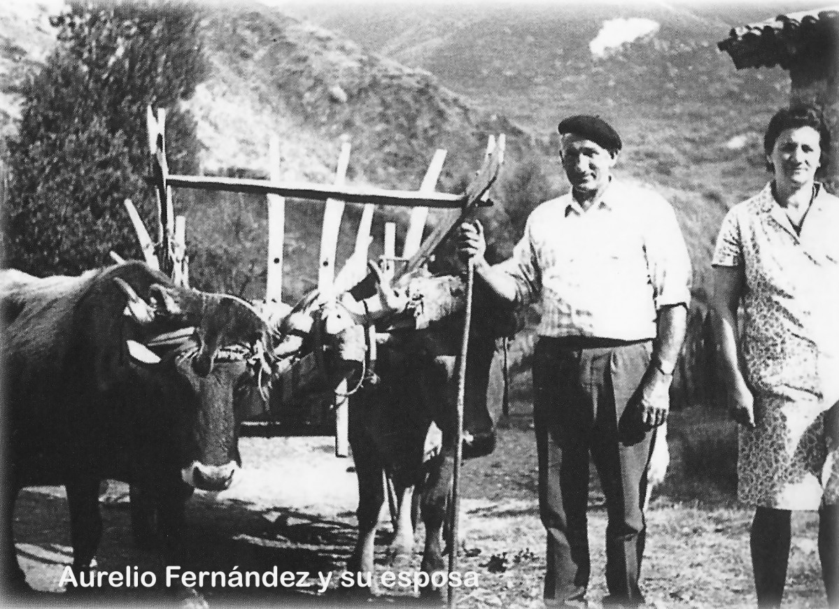 6 Aurelio Fernu00e1ndez y su esposa con el carro armado de la hierba