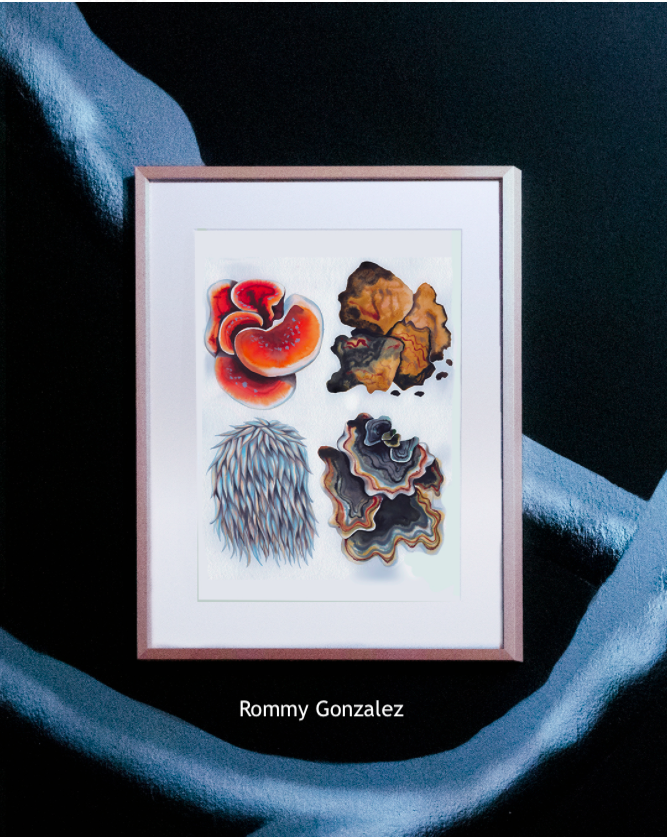 Rommy Gonzalez