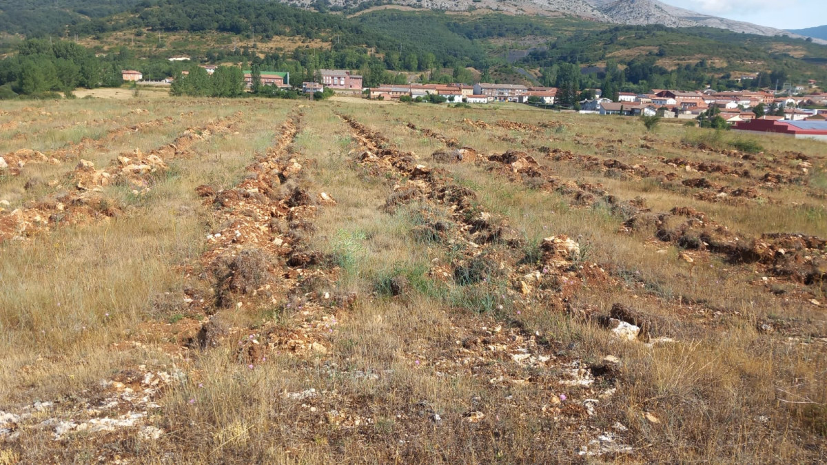 Dau00f1os campamento romano santibau00f1ez de la peu00f1a