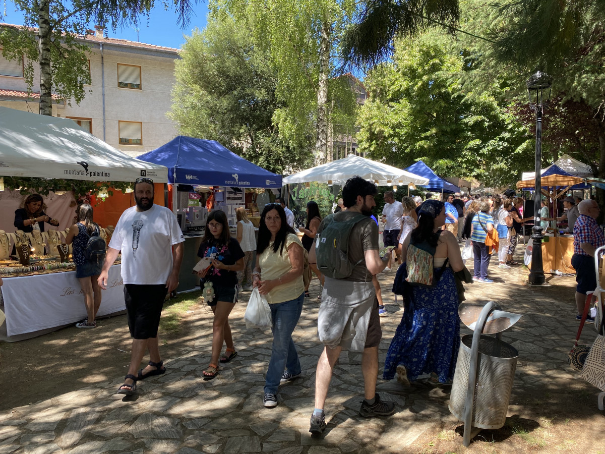 Feria de artesania y del libro de cervera (2)