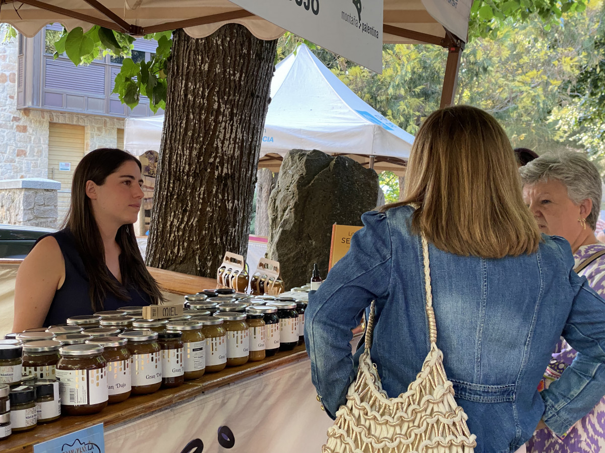 Feria de artesania y del libro de cervera (3)