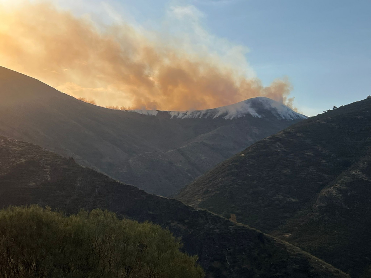 Incendio barniedo de la reina 2025 (2)