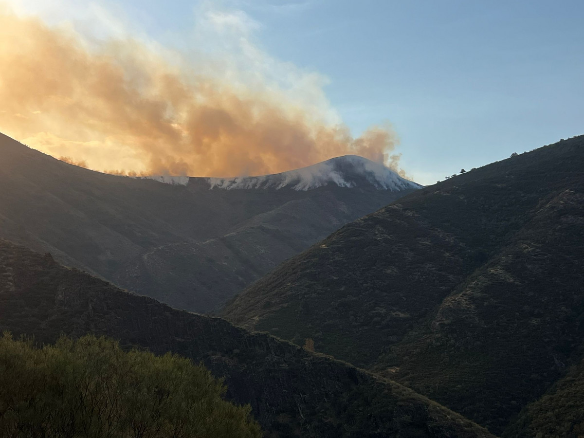 Incendio barniedo de la reina 2025 (1)