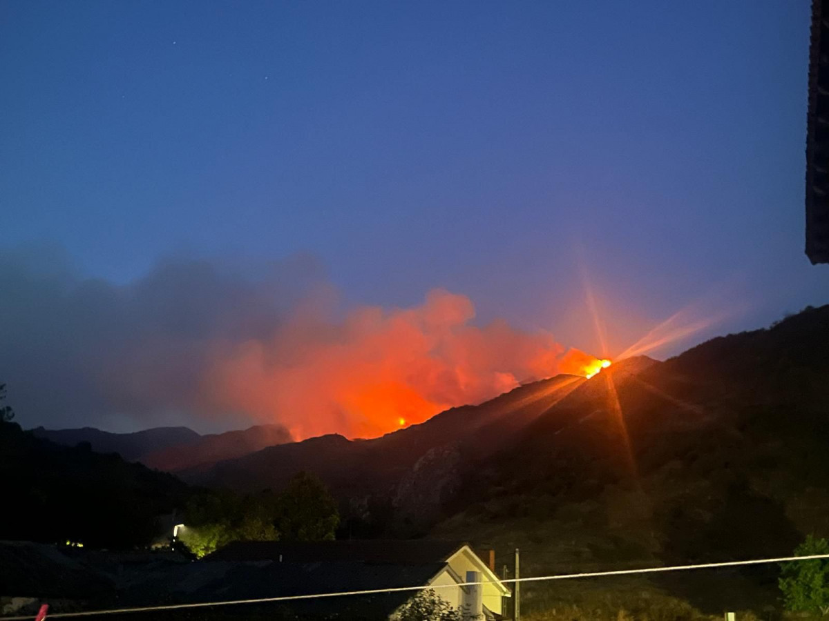 Incendio la uu00f1a 1